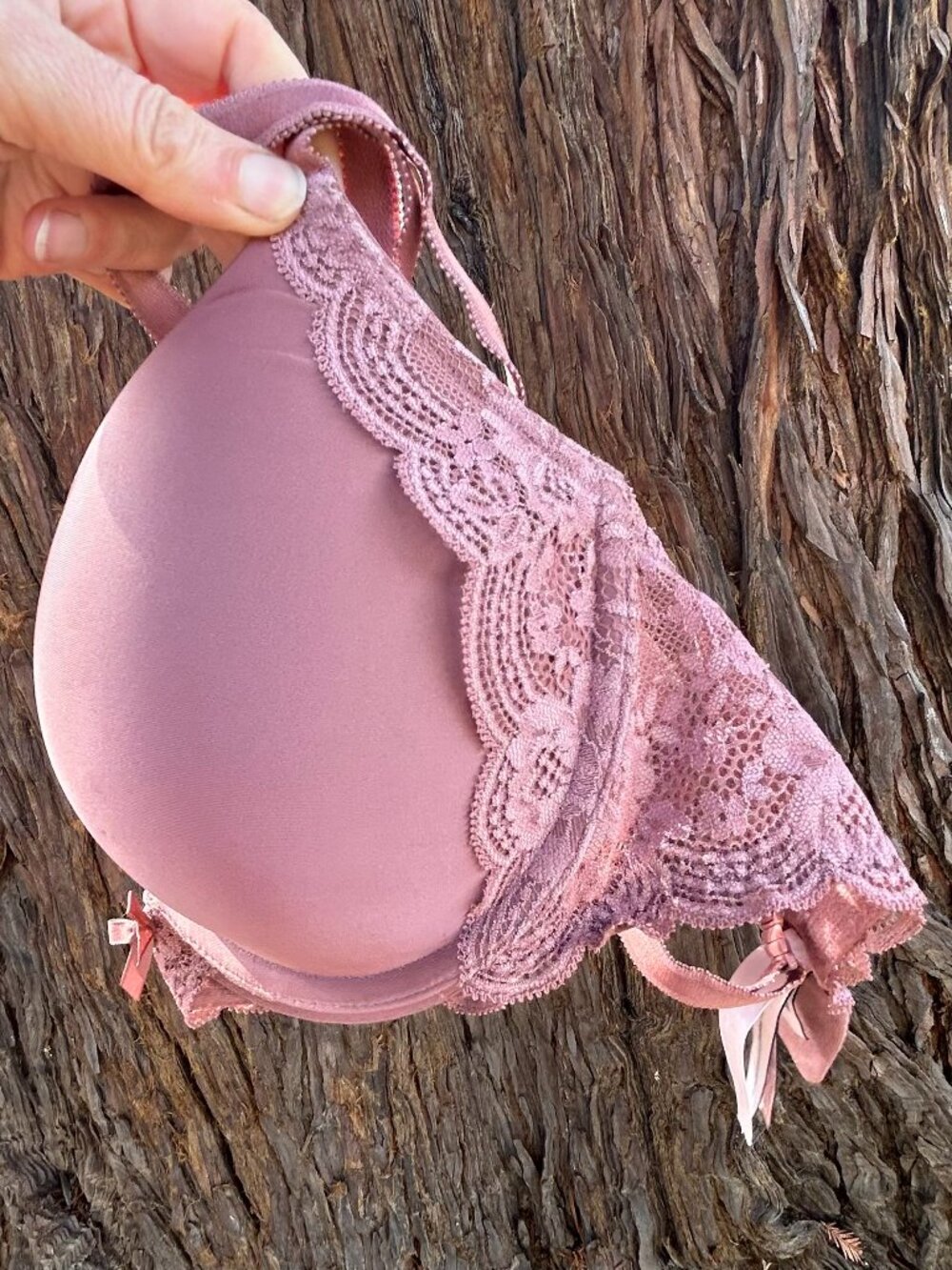 Victoria Secret Push Up Bra 34 D